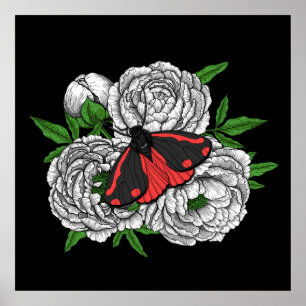 Affiche Cinnabar moth