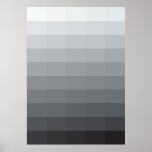 Affiche Cinquante nuances de gris