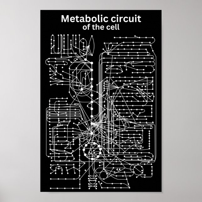 Affiche Circuit métabolique de la cellule (Devant)