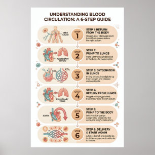 Affiche Circulation sanguine humaine : un guide éducatif e