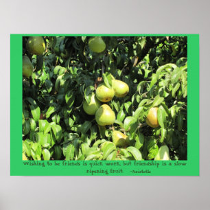 Affiche Citation d'amitié d'Aristote