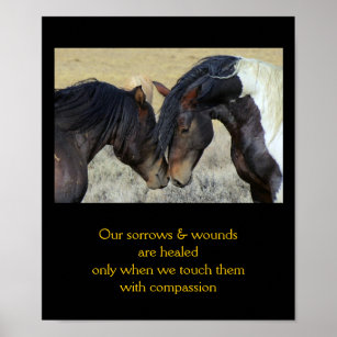 Posters Affiches Toiles Citation Cheval Zazzle