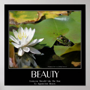 Affiche Citation De Beauté Fleur De Grenouille Et Lotus In