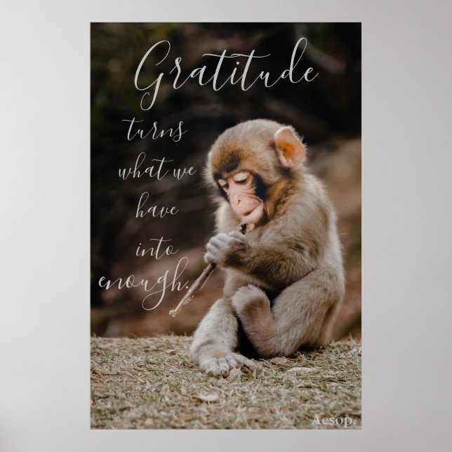 Affiche Citation de Gratitude Aesop, singe (Devant)