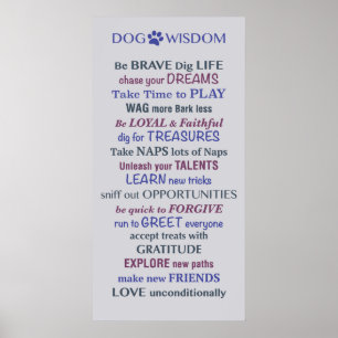 Affiche Citation de la sagesse du chien