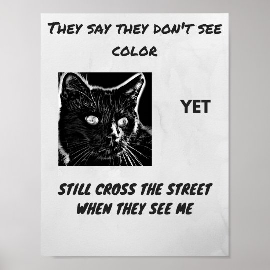 Affiche Citation De La Superstition Raciste Du Chat Noir Zazzle Fr