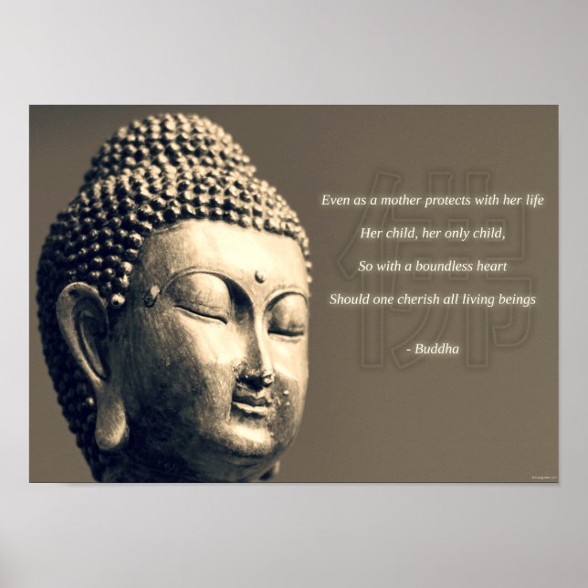 Affiche Citation de mère cerise Bouddha Zen Inspiration (Devant)