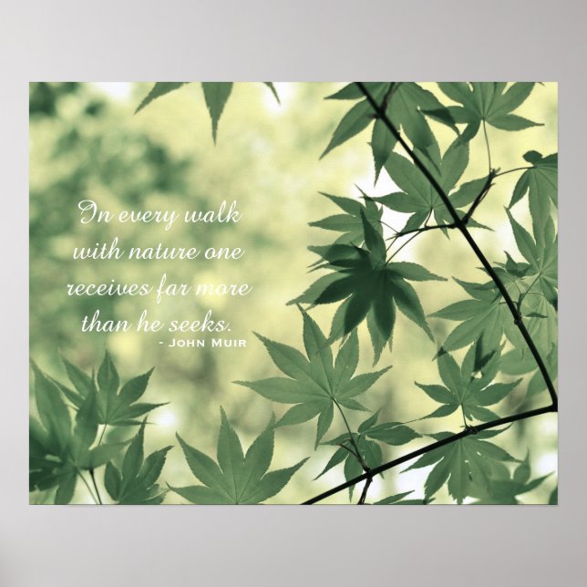 Affiche Citation de nature inspirante (Devant)
