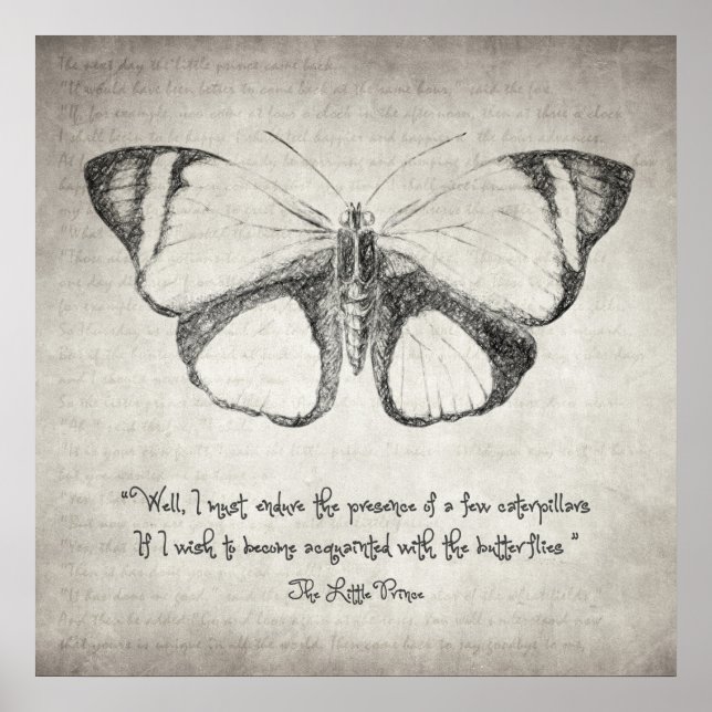 Affiche Citation de papillon (Devant)