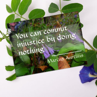 Affiche Citation de sagesse latine sur l'affiche de justic