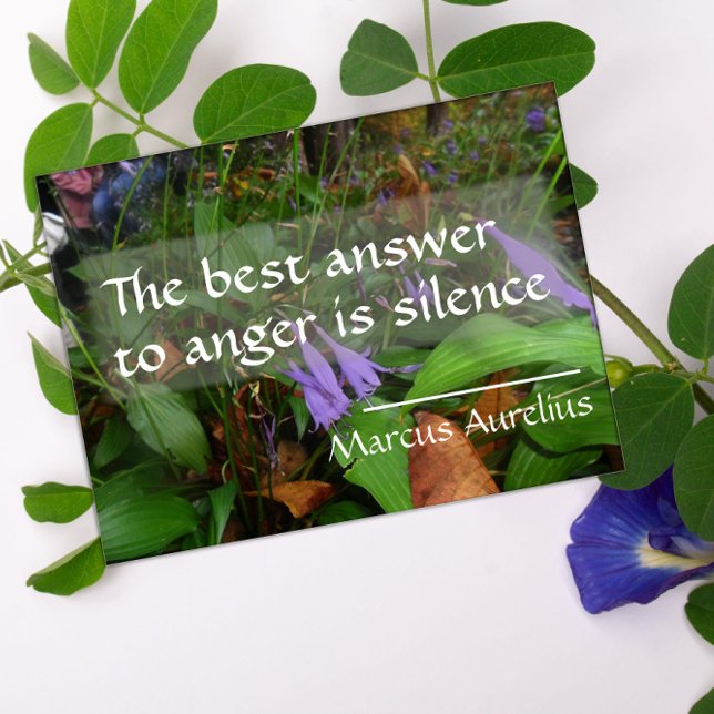 Affiche Citation de sagesse latine sur l'affiche de la mei (Créateur téléchargé)