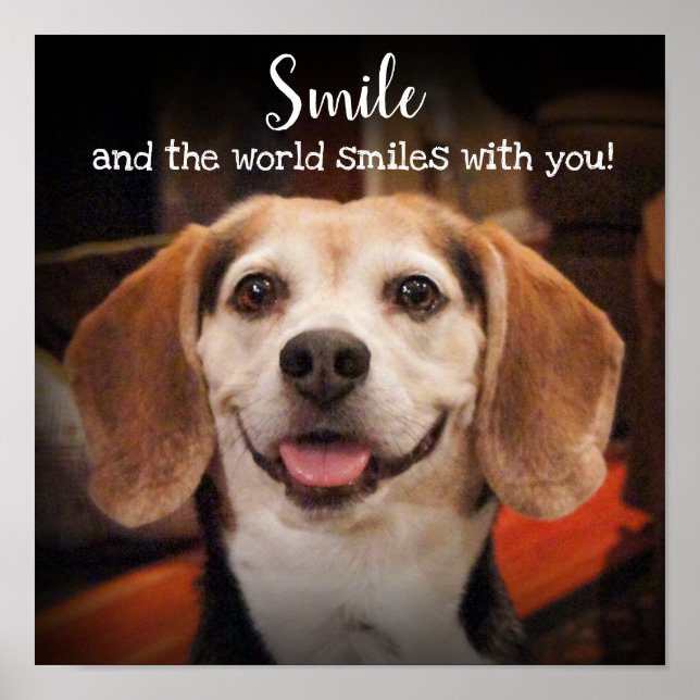 Affiche Citation de sourire mignon chien Beagle photo sour (Devant)