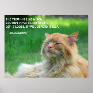 Affiche Citation de vérité de St Augustine de chat de