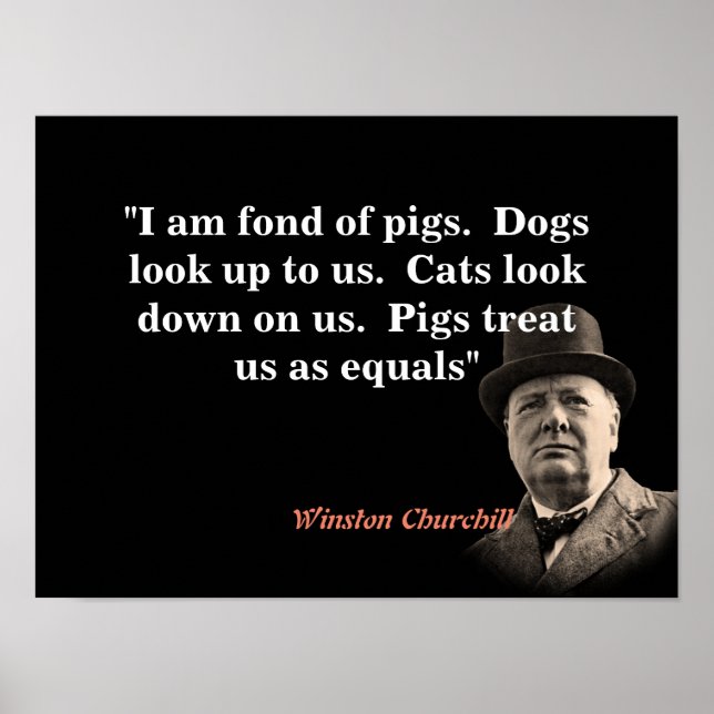 Affiche Citation De Winston Churchill Sur Les Cochons (Devant)