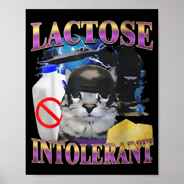 Affiche Citation drôle Chat idiot intolérant au lactose Mè (Devant)