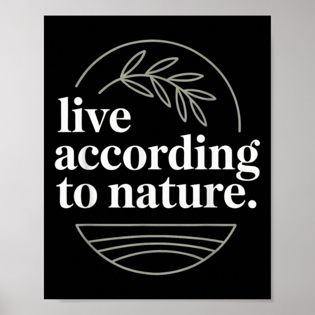 Affiche Citation du philosophe stoïque Motivation stoïcism (Devant)