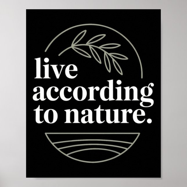 Affiche Citation du philosophe stoïque Motivation stoïcism (Devant)