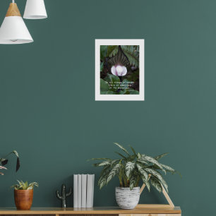 Affiche Citation du Plante Jack-in-the-Pulpit Aristote Nat