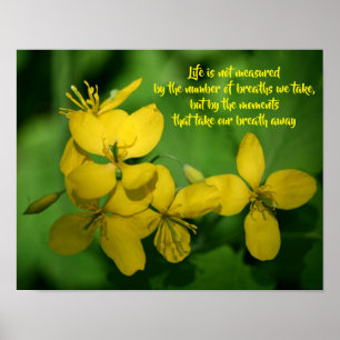 Affiche Citation Inspirante de Vie Fleurs Sauvages