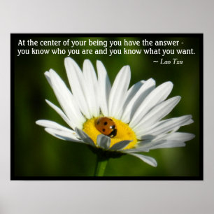 Affiche Citation Lao Tzu Ladybug Daisy Inspiration Motivat