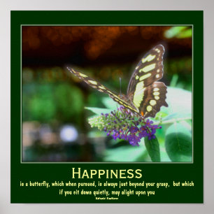Affiche Citation Motivationnelle du papillon de bonheur