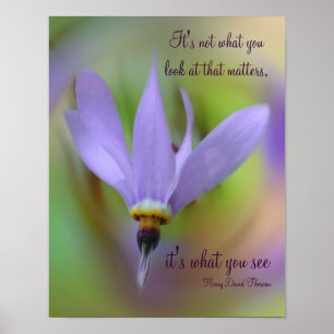 Affiche Citation Perception Fleur violet Inspiration