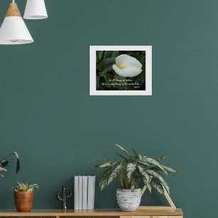 Affiche Citation philosophique blanche Calla Lily Aristote