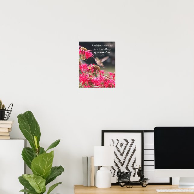 Affiche Citation Philosophique d'Aristote sur le Colibri (Bureau à domicile)