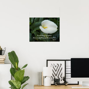 Affiche Citation Philosophique d'Aristote sur le Lys Calla