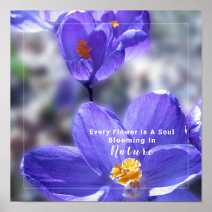 Affiche Citation photo Crocus Purple