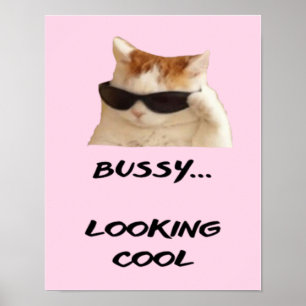 Affiche Citation simple rose pour Amoureux de les chats