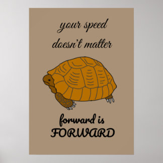 Affiche Citation tortue