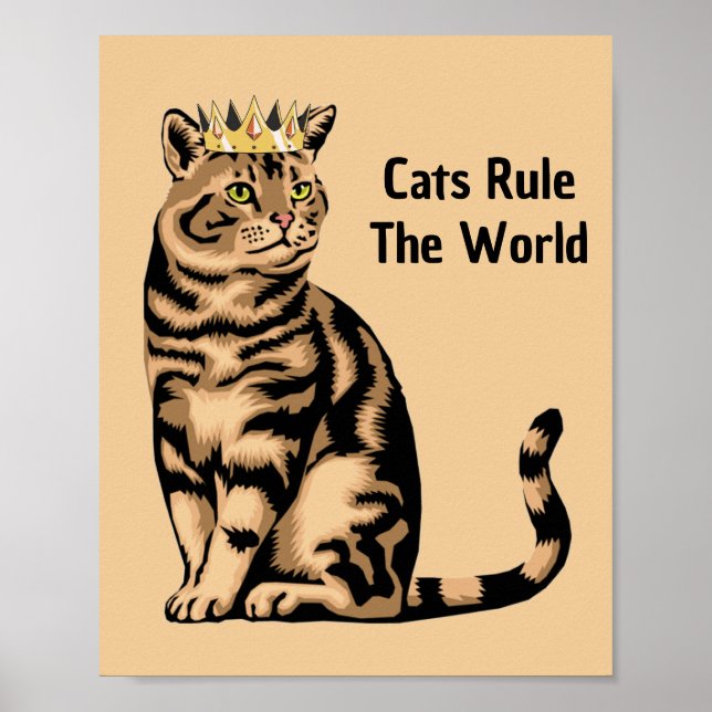 Affiche Citations de chat orange (Devant)