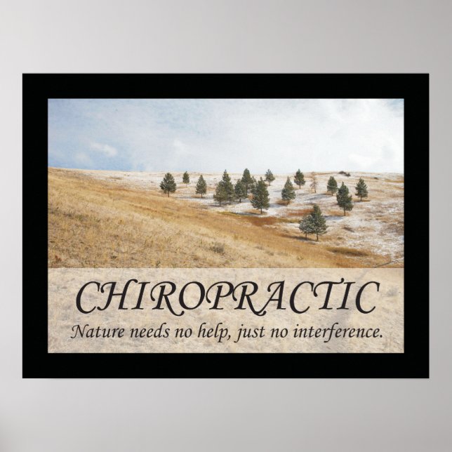 Affiche Citations et déclarations de chiropratique Nature (Devant)