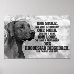Affiche Citations Rhodesian Ridgeback