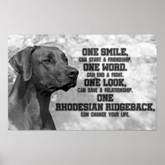 Affiche Citations Rhodesian Ridgeback