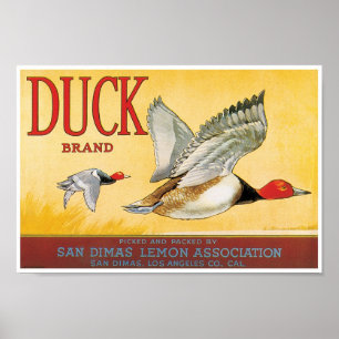 Affiche Citron San Dimas le comté de Los Angeles la
