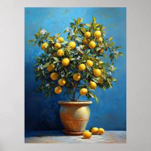 Affiche Citronnier en pot de terre cuite avec fleurs