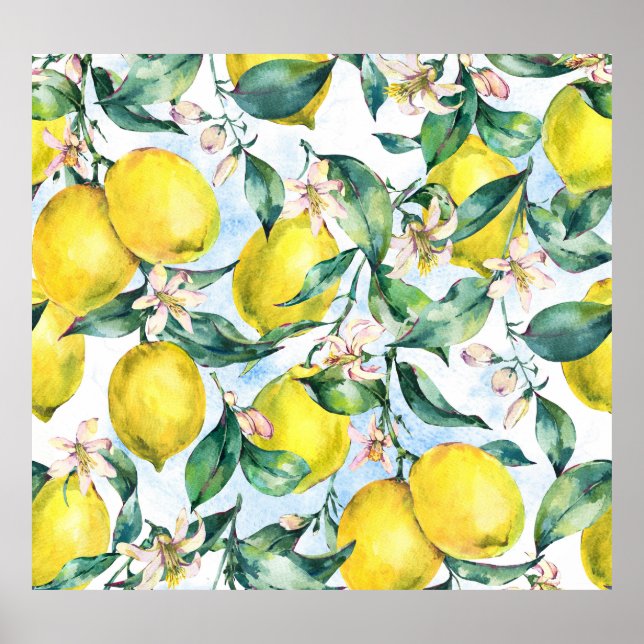 Affiche citrons d'aquarelle, branche d'agrumes frais. (Devant)