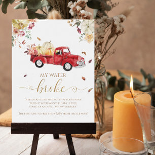 Affiche Citrouille Automne Baby shower My Water Broke Jeu