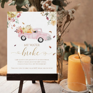 Affiche Citrouille Automne Baby shower My Water Broke Jeu