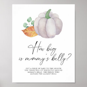 Affiche Citrouille blanche - quel est la taille du ventre