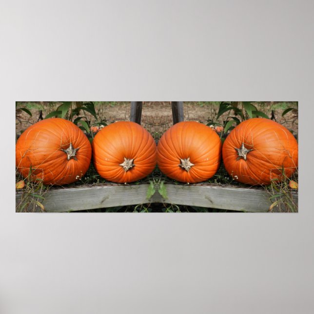 Affiche Citrouille Pair Fall Mirror Abstrait (Devant)