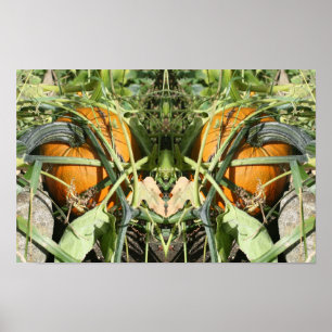 Affiche Citrouille sur la vigne Miroir d'automne Art de la