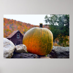 Affiche Citrouille sur un mur de pierre du Vermont en auto