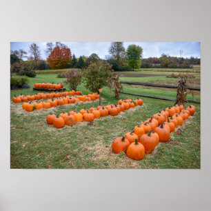 Affiche Citrouilles à vendre, Ferme de New York