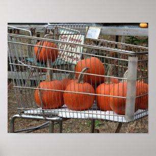 Affiche Citrouilles Dans Panier Pays Automne