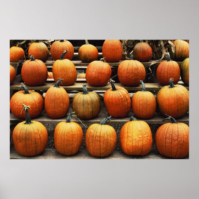 Affiche Citrouilles d'automne (Devant)
