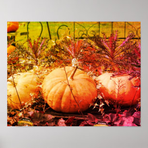 Affiche Citrouilles Et Plantes D'Automne