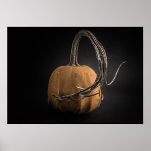 Affiche Citrouilles N° 14 Version couleur